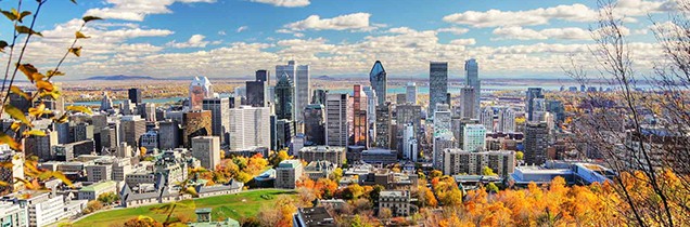 Best Astrologer In Montreal